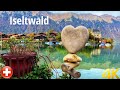 Iseltwald, Switzerland 4K - The Hidden gem of Switzerland - Most beautiful Swiss villages