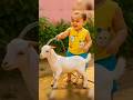 Sabko Sabko Bakra Eid Mubarak 🐐🐑#cute #baby #bakraeidspecial #eidmubarak #eid #song