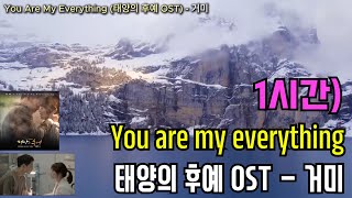 1시간) You are my everything (태양의 후예 OST) - 거미