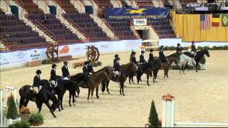 Class 3   Adult Amateur Hunter 18 35 Under Saddle