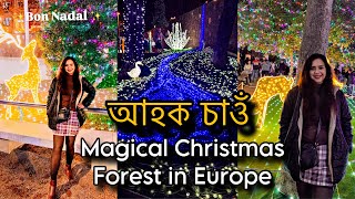 আহক চাওঁ Magical Christmas Forest in Europe || Vlog- 72 @namitakalita01