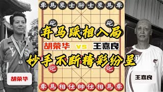 中国象棋： 王嘉良弃马踩象入局 胡荣华本局惨败 象棋大师经典对局下象棋技巧