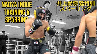井上尚弥 激しいトレーニングとスパーリング | Naoya Inoue Intense Training and Sparring | Pro Punch Sports TV