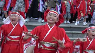 総踊り①＠2019　ハマこい・パシフィコ横浜