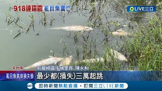 地震影響漁民無奈...台南大量虱目魚躍上岸翻肚亡漁民損失慘重 里長:盼政府幫忙｜記者 王紹宇 吳繢杉｜【消費報你知】20220919｜三立新聞台