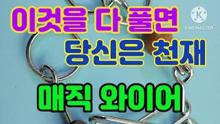 이것을 다 풀면 당신도 천재 / IQ METAL PUZZLE / 매직 와이어