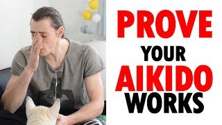 Prove To Me Your Aikido Works - I Challenge You