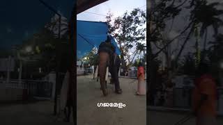 മനക്കോടത്തമ്മയെ വണങ്ങി പാർത്ഥസാരഥി 🐘🥰#elephant #keralaelephant #aanapremi #youtube #yt #shorts