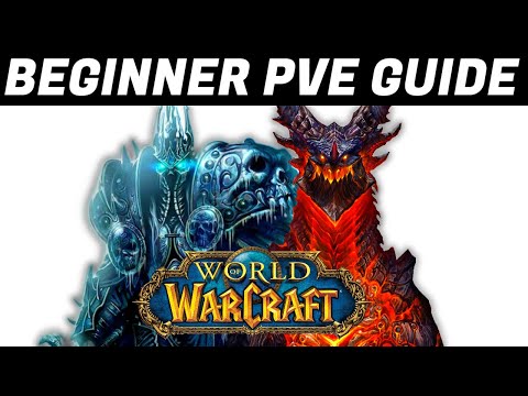 Complete WoW PvE Beginner’s Guide – Everything You Need to Know