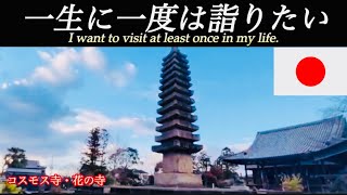 ［Nara般若寺］History of Japan Nara / Hannya-ji Temple