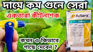 how to use actara insecticide for plant ||একতারা কীটনাশক গাছে ব্যবহারের সঠিক নিয়ম জেনে নিন