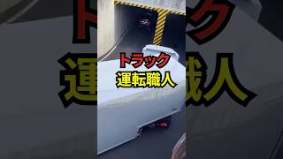 海外で大騒ぎになったトラックの運転