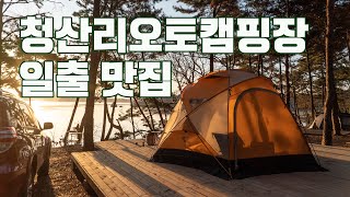 [토키토키] 일출맛집, 뷰맛집, 서해 태안 청산리오토캠핑장, 캠핑장 추천, 여행, 먹방