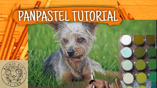 PanPastels Background -  Coloured Pencils - Create a Blurry Background & Grass using