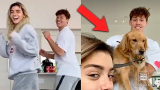 noah beck & dixie d'amelio new triller videos! *cute*