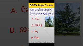 GK Questions And Answers / General Knowledge / କେଉଁ ଗଛ ଖ୍ରୀଷ୍ଟମାସ ଟ୍ରି ଭାବରେ ବ୍ୟବହାର ହୁଏ /#shorts#gk