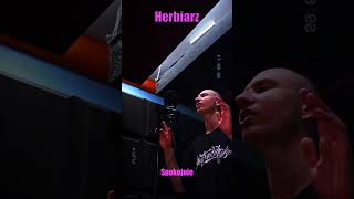 Herbiarz - Co Tam Mała (Dedykowałem Duszę)  #herbiarz #rap #dedykowałemduszę #tekst #hiphop #muzyka