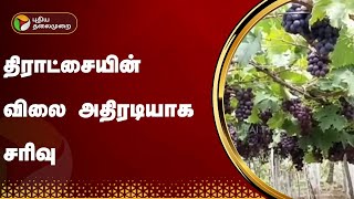 திராட்சையின் விலை அதிரடியாக சரிவு | Theni | PTT