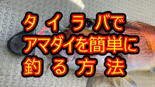 タイラバでアマダイ甘鯛）を釣る方法　完全放置プレイでアマダイを釣る