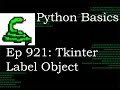 Python Basics Tutorial Tkinter Label Object || Digital Clock Series