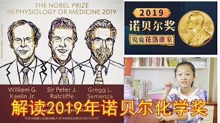 【聊科技】解读2019年诺贝尔化学奖，诺奖史上最接地气的一次奖