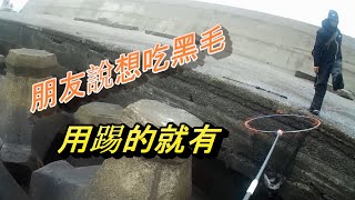 一竿入魂之北堤辣妹，東走一尾海大補一尾，想吃踢一下就有[磯釣]黑毛][南極蝦]