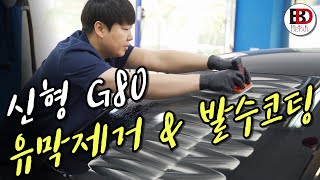 이렇게 좋은걸 아직도 안하셨어요?! 신형 제네시스 G80 - 신차 유막제거와 발수코팅 셀프시공 (feat. 센샤 - 윈도우 크리스탈) || 블랙디테일