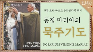 [토요특강1] 동정 마리아의 묵주기도 - 교황 요한 바오로 2세 성하의 교서 ㅣRosarium Virginis Mariae (2021년 4월 24일)