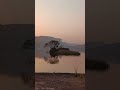 sunset at zone 3 ranthambore ytshorts shorts shortsfeed