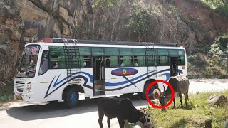 MM Hills Temple Bus And Car Turning On Hairpinbend Road At MM Hills To Mysore Road Karnataka