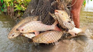 New Method Of Net Fishing | Fishing Video | Primitive Survival | Primitive Technology #primitive