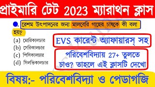 primary tet preparation 2023 | wb primary tet preparation 2023 | primary tet evs classes