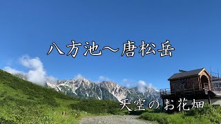 【白馬八方池と唐松岳】大人の休日山登り　夏の白馬を満喫！