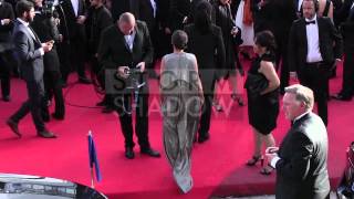 CANNES FILM FESTIVAL 2014 - Patrick Poivre D'Arvor, Pascal Greggory on the red carpet in Cannes