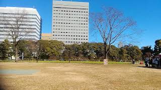 【2023年1月3日】諏訪流放鷹術：鷹狩：渡り　２回目【浜離宮恩賜庭園】