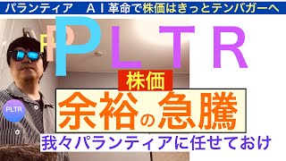 PLTRパランティア余裕で株価急騰【全力次のテスラ】テンバガー狙え