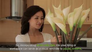 the Mystical Significance and Symbolism of White Calla Lilies