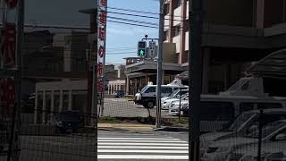 同種同時鳴きの1015号カッコー（今度動画にします）