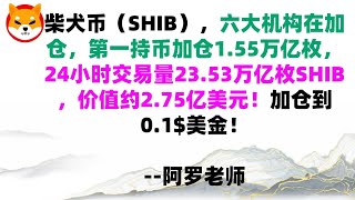 柴犬币（SHIB），六大机构在加仓，第一持币加仓1.55万亿枚，24小时交易量23.53万亿枚SHIB，价值约2.75亿美元！加仓到0.1$美金！shib币|柴犬币|屎币行情分析！