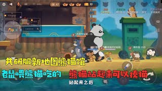 猫和老鼠手游：我要上猫皇！|猫和老鼠手游：快乐天梯，无限自闭|17/10/2020