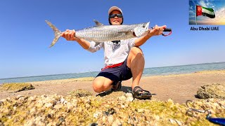 I caught Huge Kingfish Using Ultralight and Jig from TEMU | Abu Dhabi Inshore Fishing