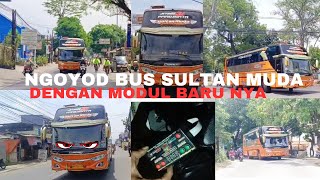 NGOYOD BUS SULTAN MUDA|DENGAN MODUL BARU NYA | FULL BASURI DI SETIAP JALAN 🤩