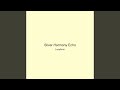 Silver Harmony Echo