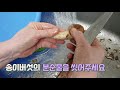 송이버섯 자연산 송이버섯 구경하세요~ 송이향 끝내주는 송이버섯볶음~ 송이버섯 송이버섯먹는법 송이버섯채취 송이버섯손질 송이버섯볶음