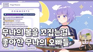 무나의 볼을 꼬집는걸 좋아한 무나의 오빠들 | 무나 호시노바 | 홀로라이브 ID