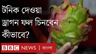 টনিক দেওয়া ড্রাগন ফলের যেসব বৈশিষ্ট্য থাকে