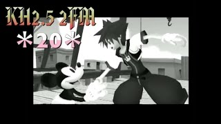 ＊２０＊ 【KH2.5】 キングダムハーツ２ FM  -再会 reunion-