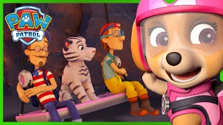 終極救援狗狗從火山中救出阿寶和老虎一家！- PAW Patrol 汪汪隊立大功 - 兒童卡通