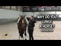 WHY DO YOU LUNGE A HORSE? - Dressage Mastery TV Episode 219