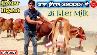 26 लीटर तक दूध 31000₹ से कीमत शुरू 👍 15 Cow Available For sale 👌 Gir Sahiwal Cholistani Rathi Breed